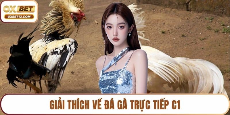 Đá gà trực tiếp C1