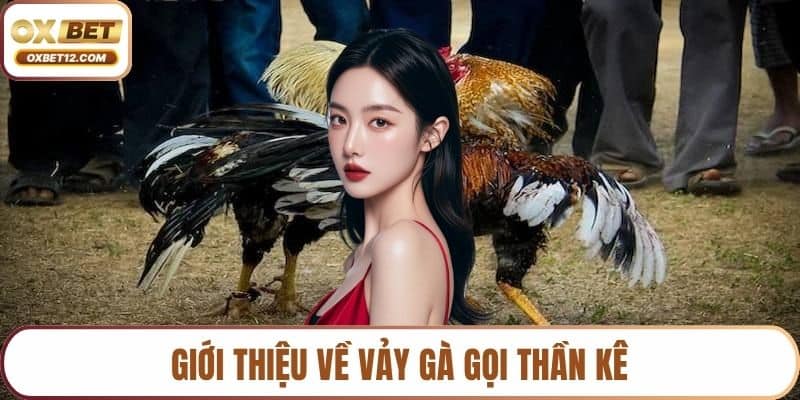 Vảy gà gọi thần kê 