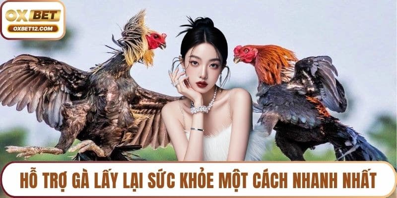 Vảy gà gọi thần kê 