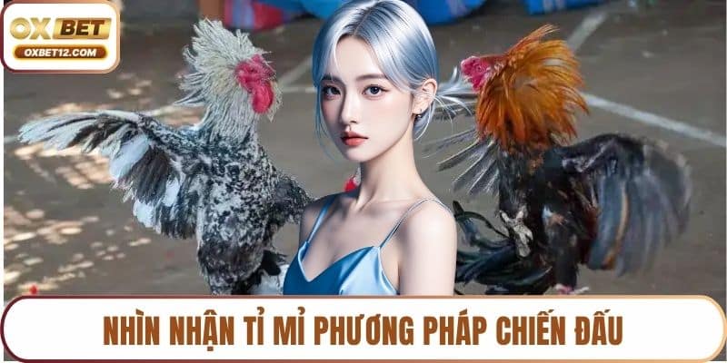 Đá gà trực tiếp C1