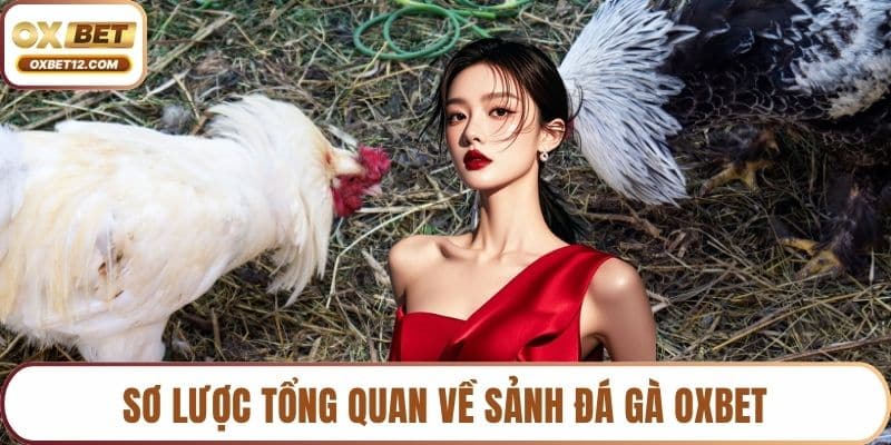 Đá gà OXBET