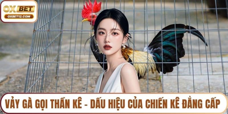 Vảy gà gọi thần kê